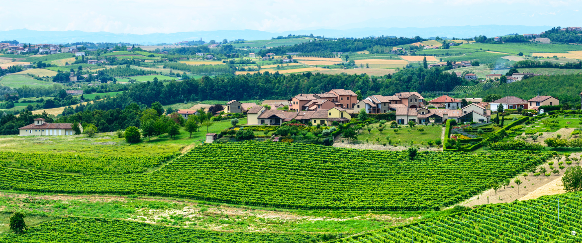 The Rural and Sustainable Spirit of Monferrato