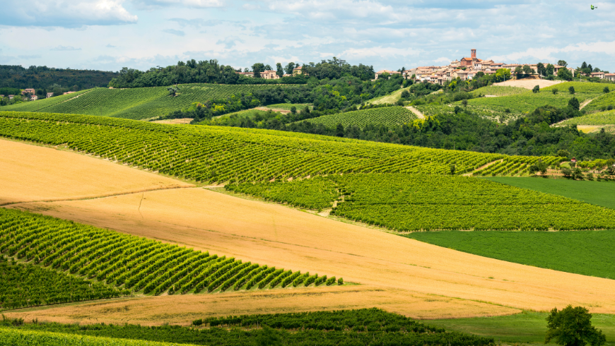 Monferrato views